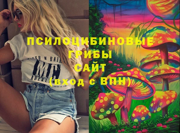 ГАЛЛЮЦИНОГЕННЫЕ ГРИБЫ Ладушкин