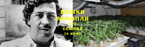 ГАЛЛЮЦИНОГЕННЫЕ ГРИБЫ Ладушкин